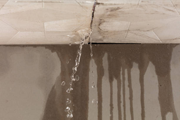 Professional Structural Drying technician working in Eglon, WV
